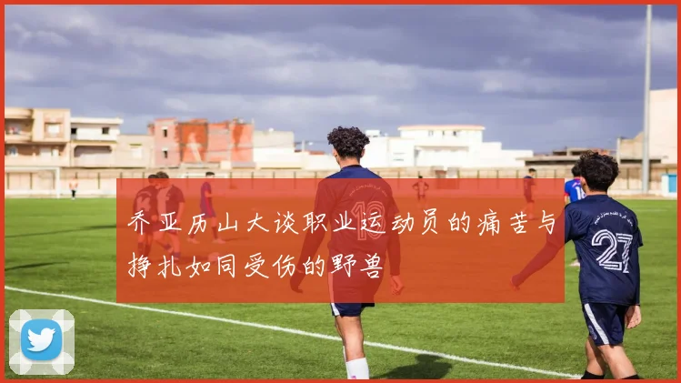乔亚历山大谈职业运动员的痛苦与挣扎如同受伤的野兽