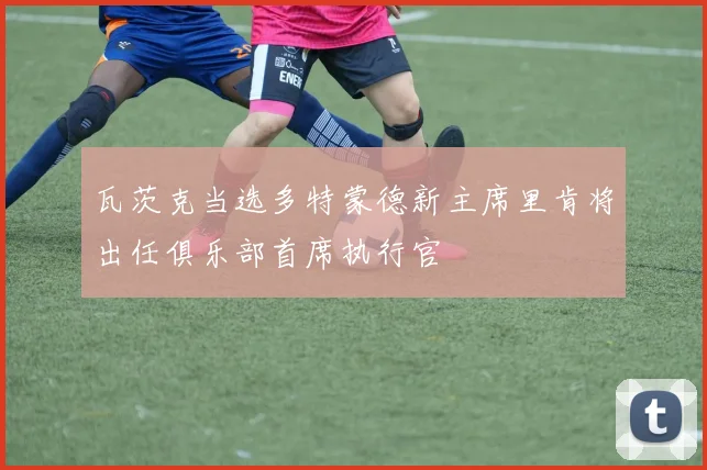 瓦茨克当选多特蒙德新主席里肯将出任俱乐部首席执行官