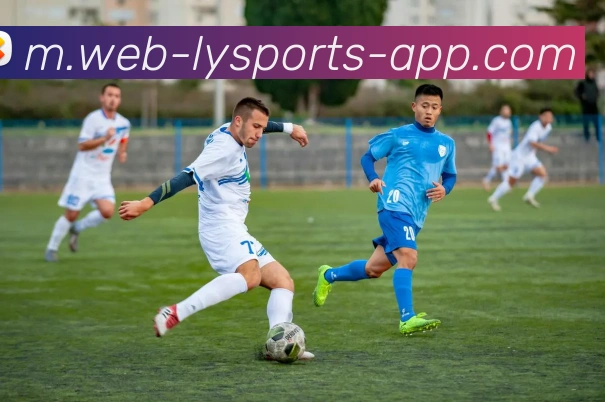 乐鱼体育平台生态图